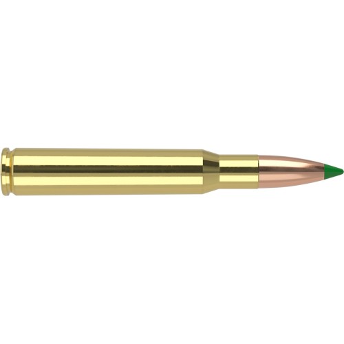 Nosler .30-06 Springfield 180 gr Ballistic Tip® Hunting  Précision et énergie pour grand gibier