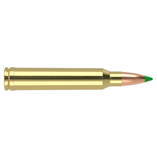 Munición Nosler .300 Win Mag 180gr Ballistic Tip Hunting  Precisión y expansión controlada para caza mayor