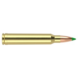 Nosler .300 Win Mag 180 grains Ballistic Tip® Hunting  Précision et expansion contrôlée