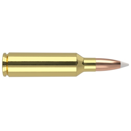 Munitions Nosler Trophy Grade avec balles Spitzer AccuBond® 150 gr  Précision, fiabilité et étui premium
