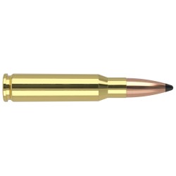 308 Win 165gr Partition Trophy Grade Ammunition RMEF