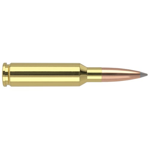 Munitions Nosler Trophy Grade pour Longue Distance | Balles Precision 142gr AccuBond®-LR pour Précision Maximale