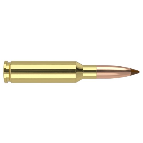 Munición de Caza Nosler Ballistic Tip®  Bala Spitzer Precisa de 140gr para Ciervo, Antílope y Jabalí a Larga Distancia
