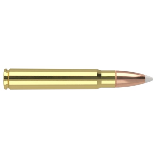 Munitions Nosler Trophy Grade avec Balles Spitzer AccuBond® 250gr  Précision, Fiabilité et Étui Premium