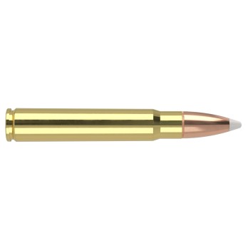 Nosler Trophy Grade Ammo with 250gr Spitzer AccuBond® Bullets  Precision, Reliability & Premium Brass
