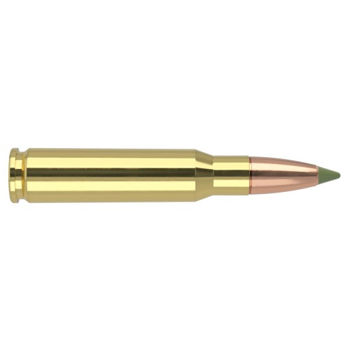 Nosler E-Tip® Lead-Free Hunting Ammo  168gr Spitzer E-Tip® Bullet, Premium Brass, Superior Penetration & Long-Range Performanc