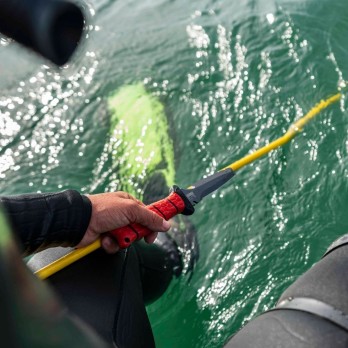 Cuchillo de buceo sin filo Scout 4" Bubba