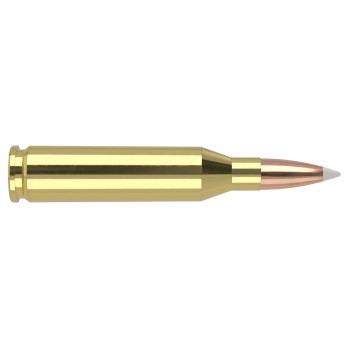 Nosler Trophy Grade .243 Winchester 100 gr Partition  Munición de caza premium