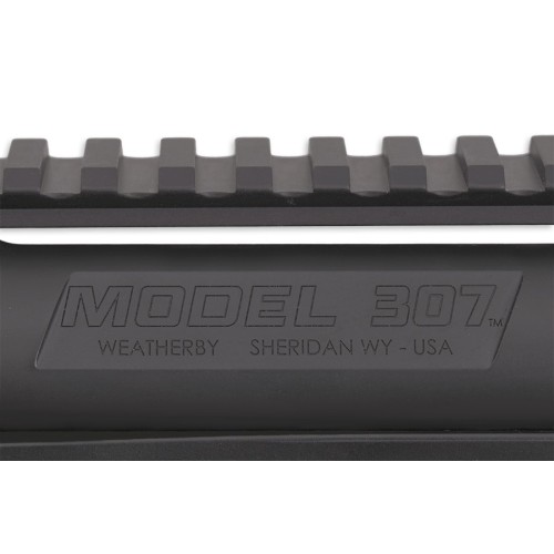 Weatherby Model 307 Alpine MDT 300 Win Mag