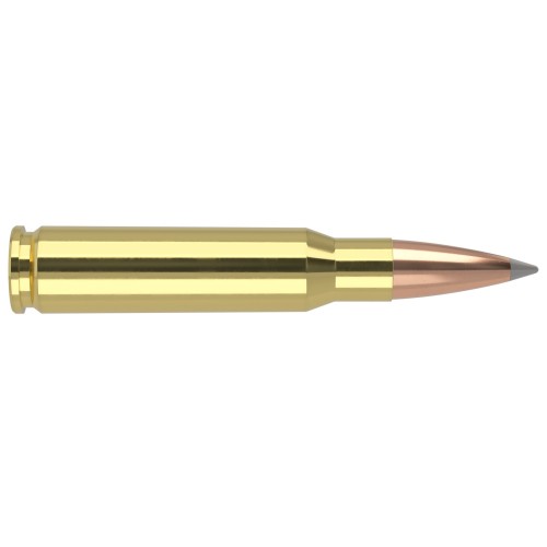 Nosler 308 Win 168gr AccuBond LR 60101