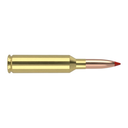 Munición Nosler 7mm PRC 160gr Ballistic Tip Hunting 43465