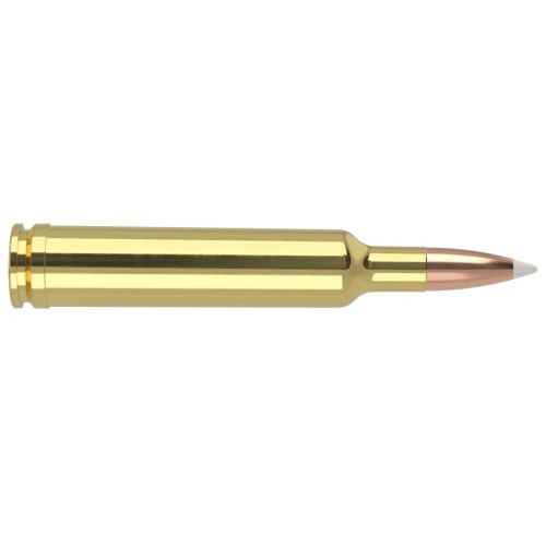 Cart. Nosler Cal. 257 Wby Mag - 110gr. 20 un. Accubond Trophy Grade