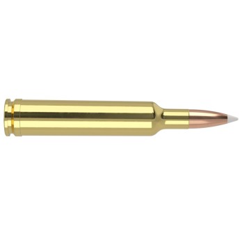 Cart. Nosler Cal. 257 Wby Mag - 110gr. 20 un. Accubond Trophy Grade