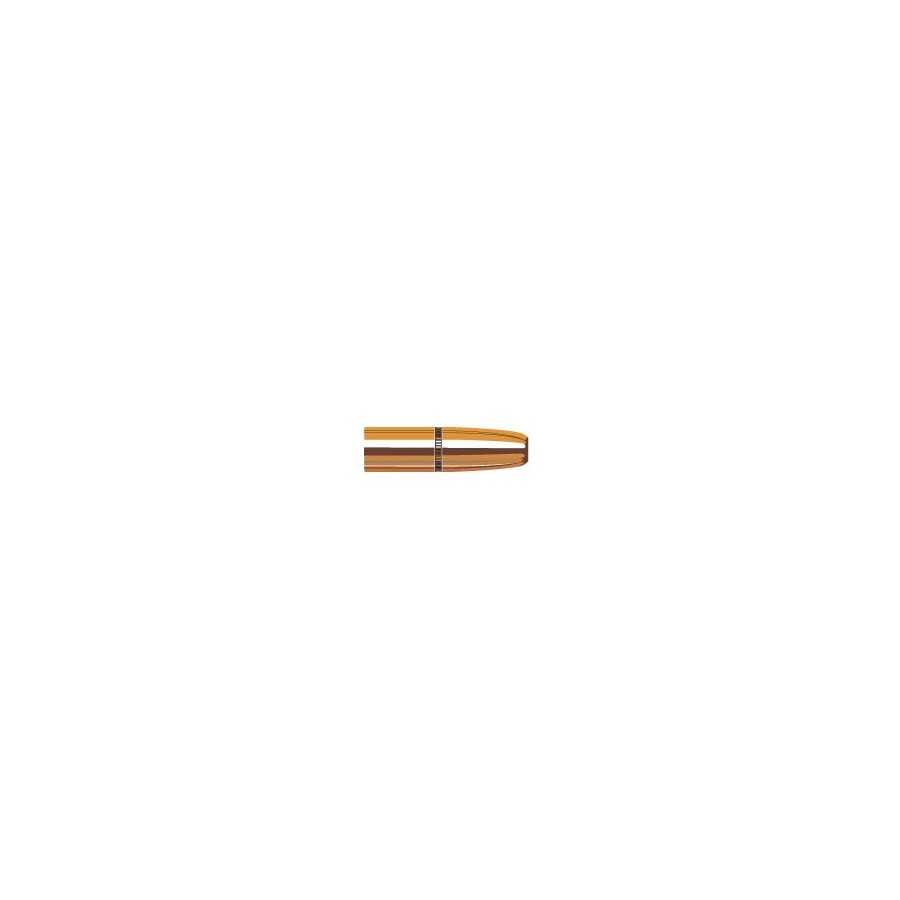 9.3mm Caliber 300 Grain DGS Hornady Bullets Diameter .366"