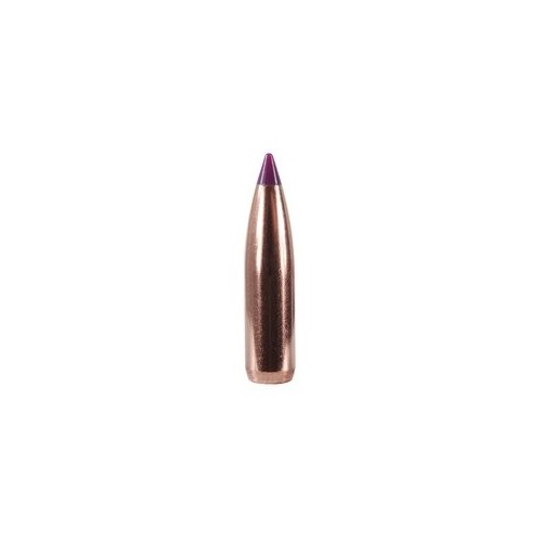 Balles Nosler Ballistic Tip Chasse 6mm 90gr  Précision et Performance Exceptionnelles