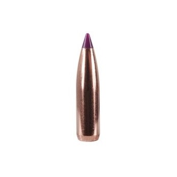 Balles Nosler Ballistic Tip Chasse 6mm 90gr  Précision et Performance Exceptionnelles