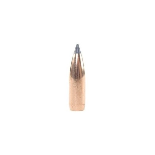Balles Nosler Ballistic Tip Chasse 8mm 180gr  Précision et Performance Exceptionnelles