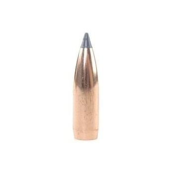 Balles Nosler Ballistic Tip Chasse 8mm 180gr  Précision et Performance Exceptionnelles