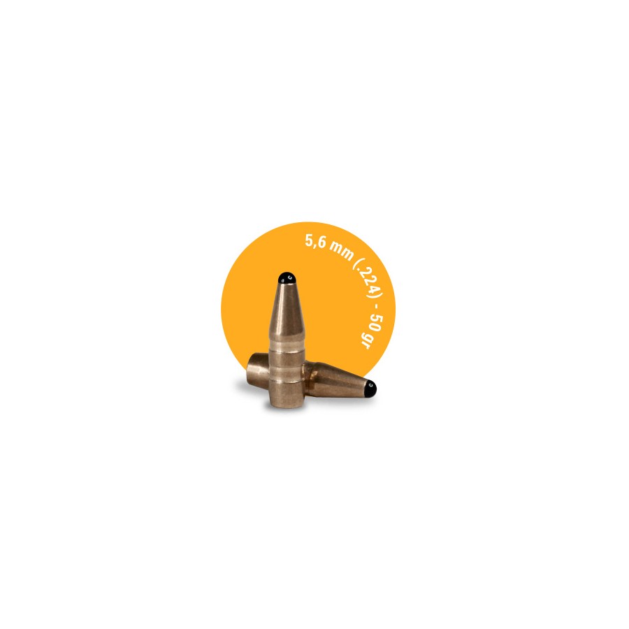 .22-55 Classic Hunter FOX Bullets 50pcs