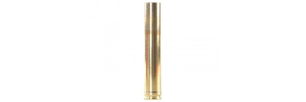 Vainas Cal. 458 Lott