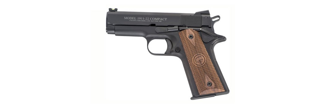 Olympic Shooting Pistols