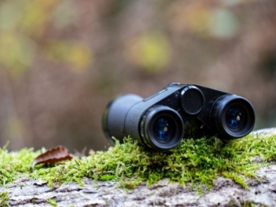 ¿Cómo elegir los mejores prismáticos de caza?